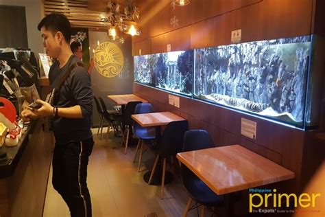 cafe aquatica binondo|CAFE AQUATICA, Manila .